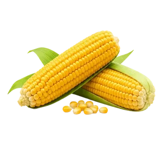 Ngô